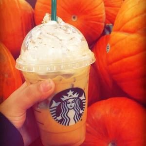 Meet your Posher, Adela